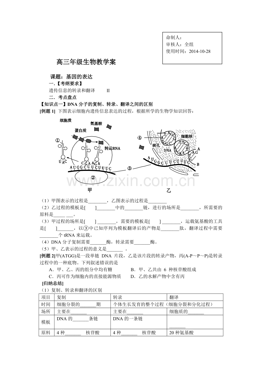 基因的表达--一轮复习学案.doc_第1页