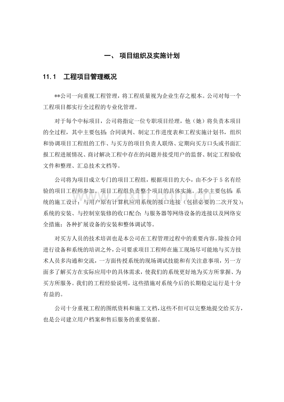 项目组织及实施计划.docx_第1页