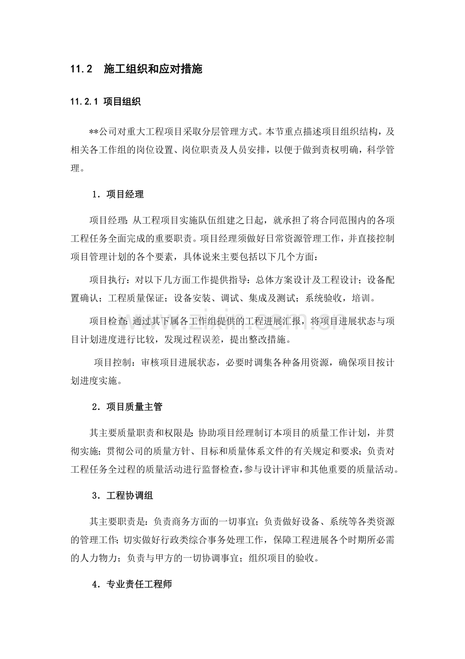 项目组织及实施计划.docx_第2页