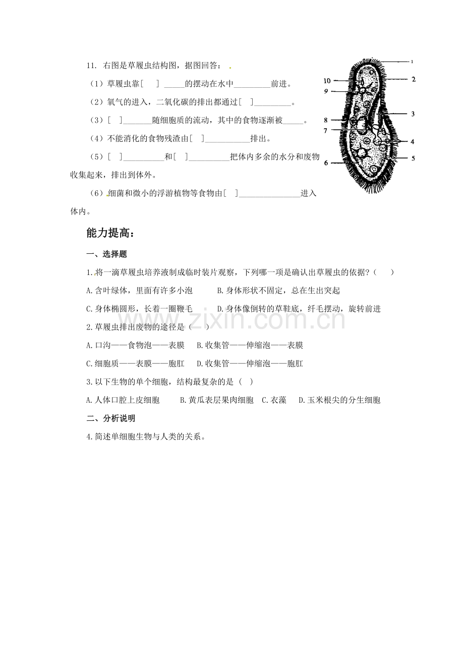 《第一节-单细胞生物》同步练习4.doc_第2页