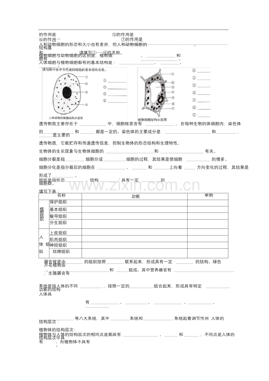 七年级生物苏教版上学期知识点填空题.docx_第2页