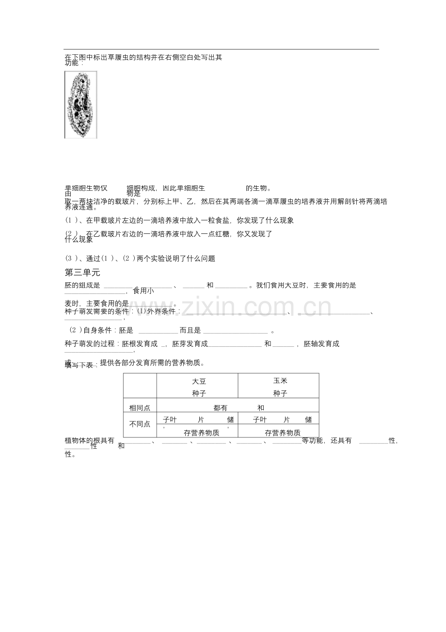 七年级生物苏教版上学期知识点填空题.docx_第3页