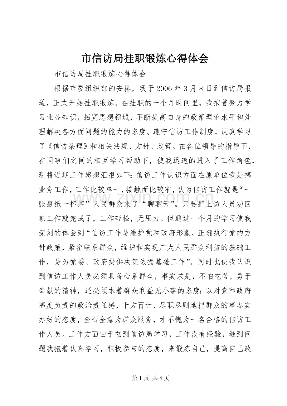 市信访局挂职锻炼体会心得.docx_第1页