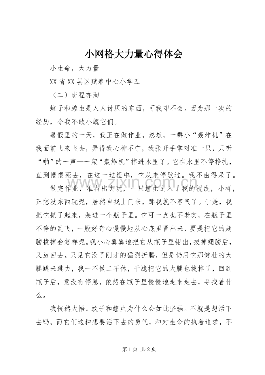 小网格大力量体会心得.docx_第1页