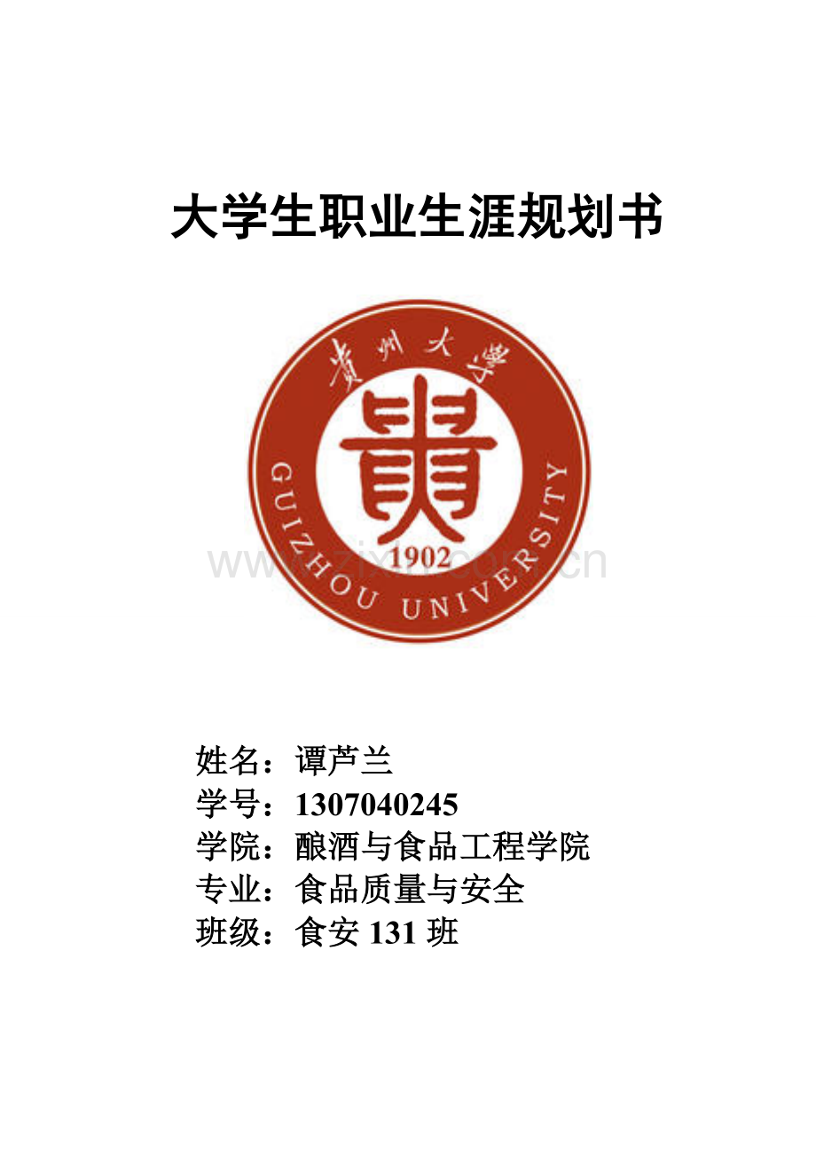 大学生职业生涯规划书模板.doc_第1页