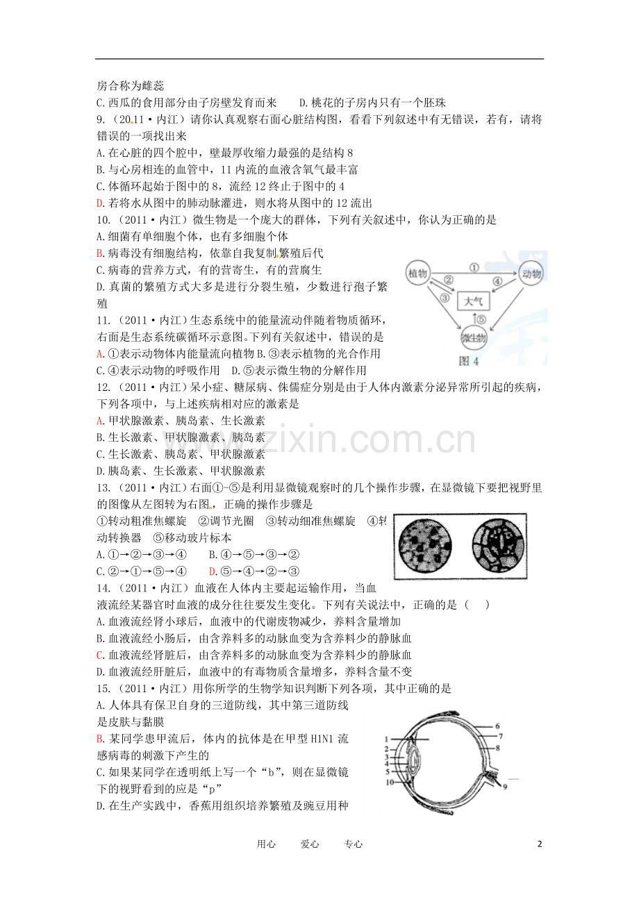 四川省内江第十一中学四川省内江市2011-2012学年八年级生物结业考试试题-人教新课标版.doc_第2页