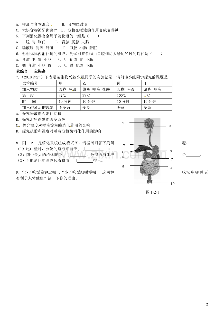 山东省高密市银鹰文昌中学七年级生物下册-第二节-消化和吸收一学案(无答案)-新人教版.doc_第2页