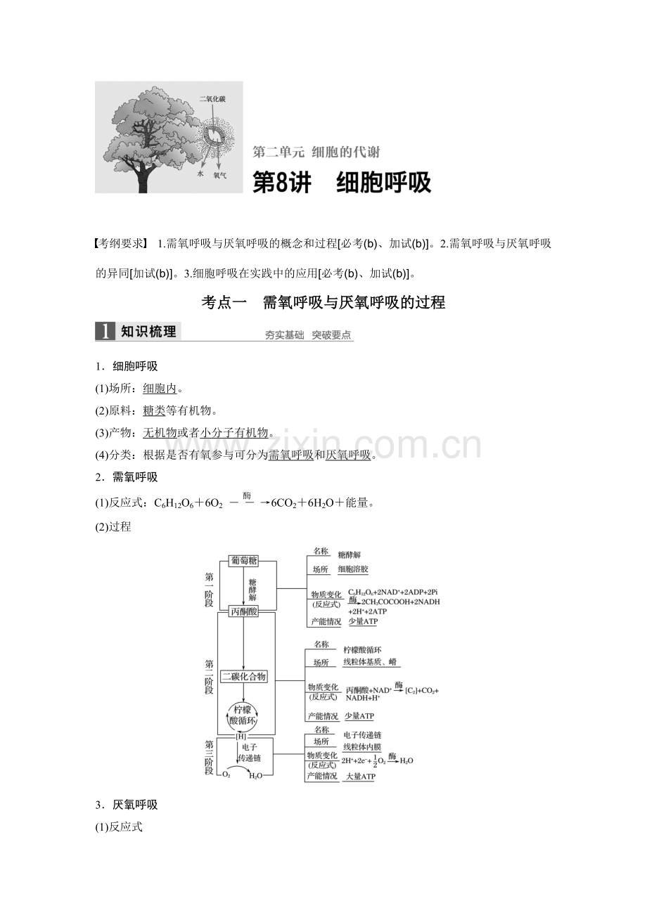 第2单元--第8讲-细胞呼吸.docx_第1页