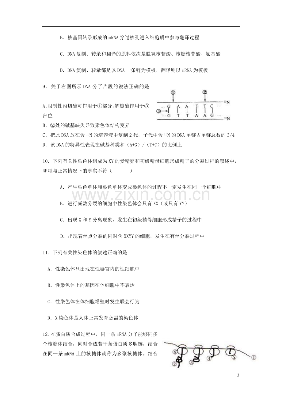 山东省高三生物12月考旧人教版.doc_第3页