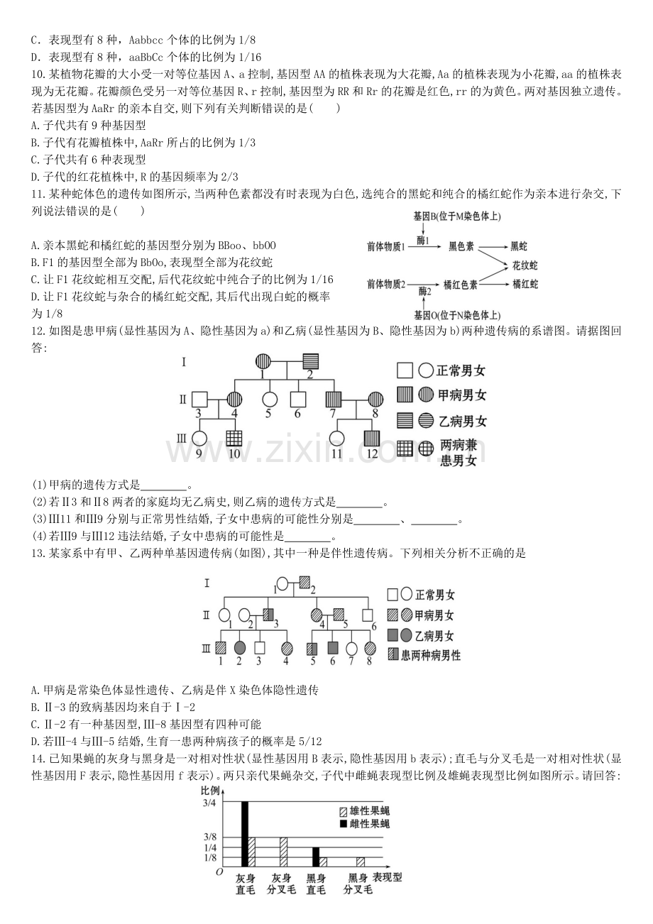 遗传定律与遗传概率计算题.doc_第2页