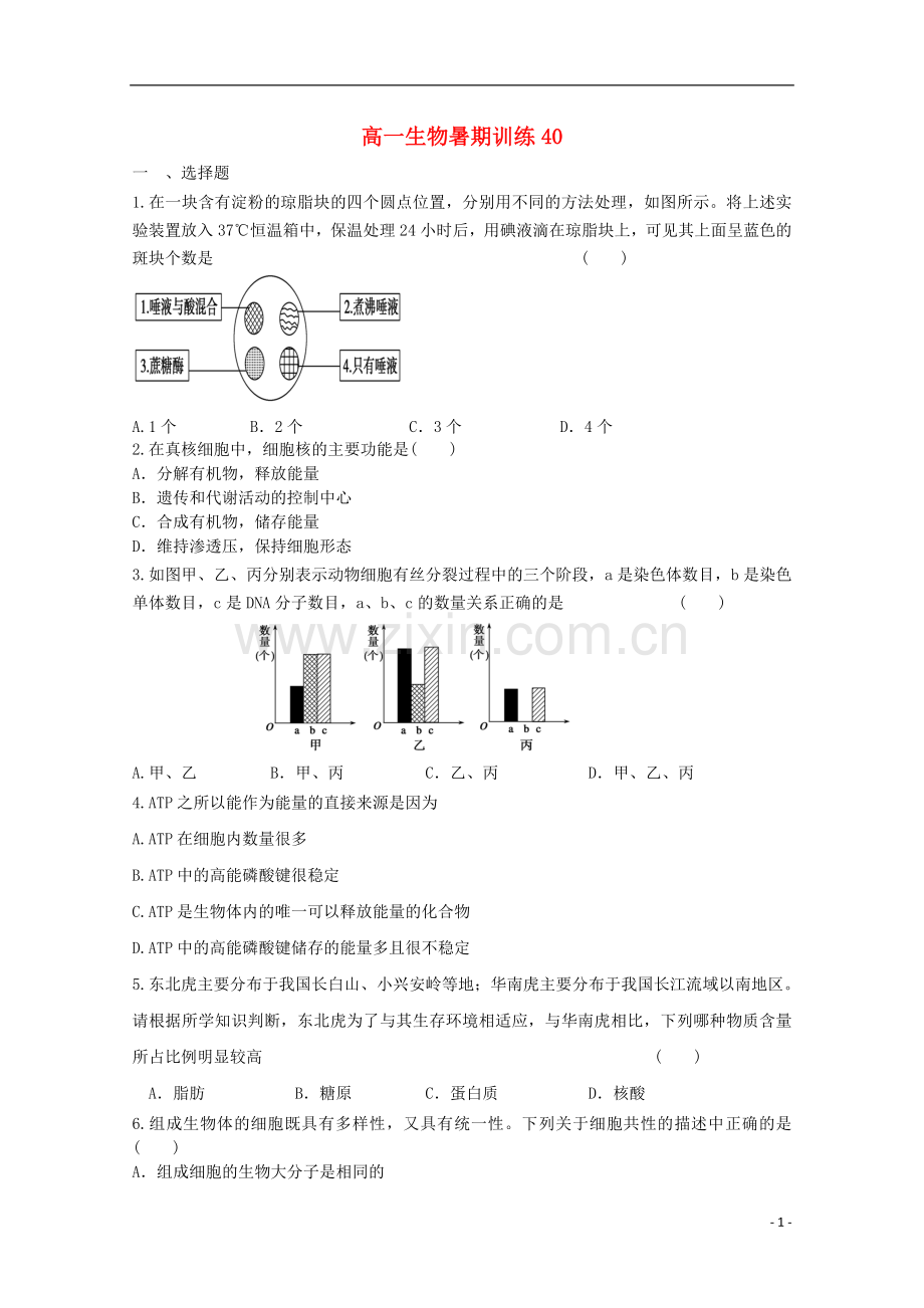 高一生物暑期训练40.doc_第1页