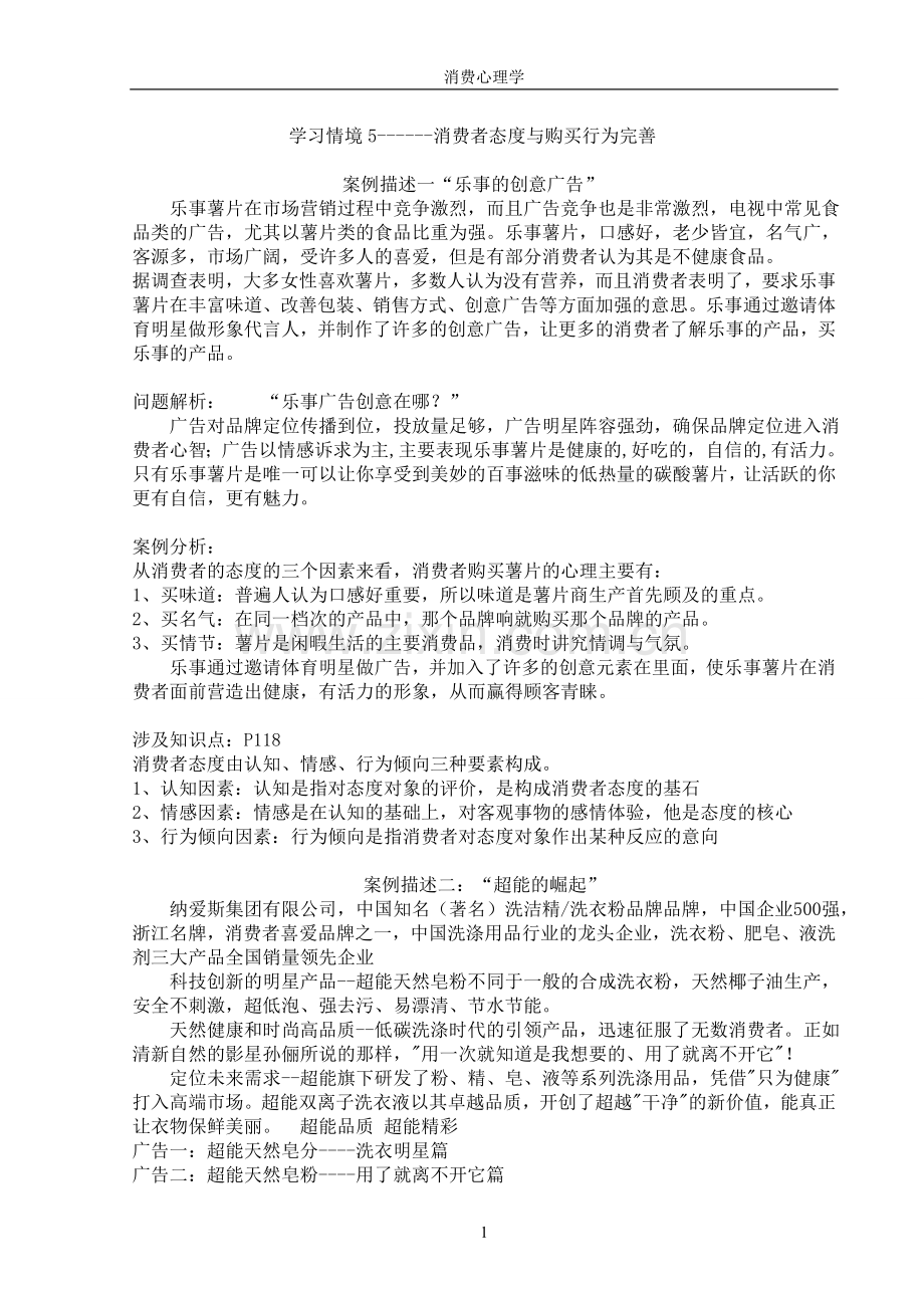 消费者态度与购买行为完善的案例分析.doc_第2页