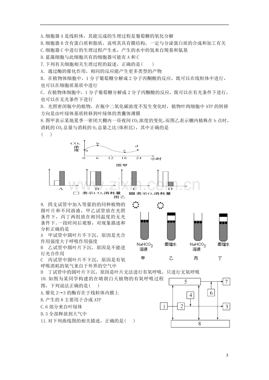 山西省山大附中高三生物1月月考试题新人教版.doc_第2页