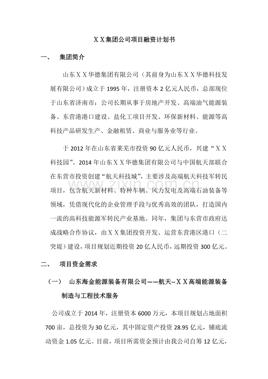 集团公司项目融资计划书.docx_第1页