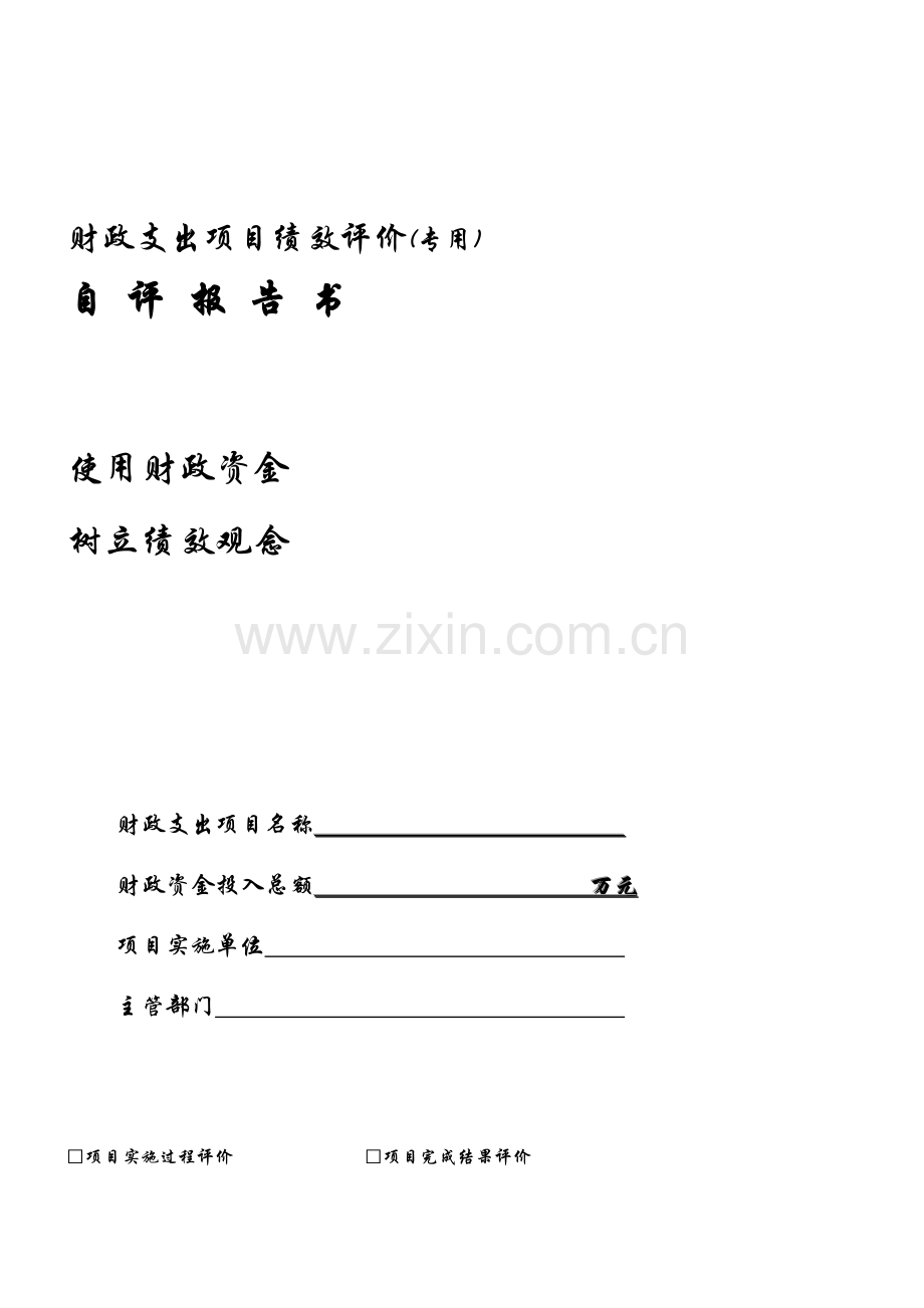 财政支出项目绩效评价(专用).doc_第1页