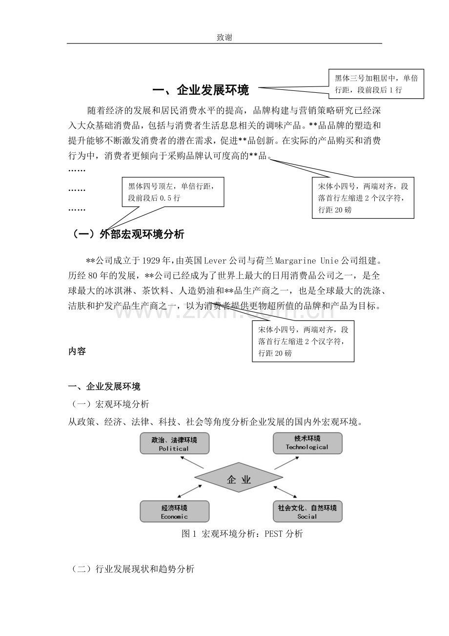 公司战略规划模板.docx_第3页