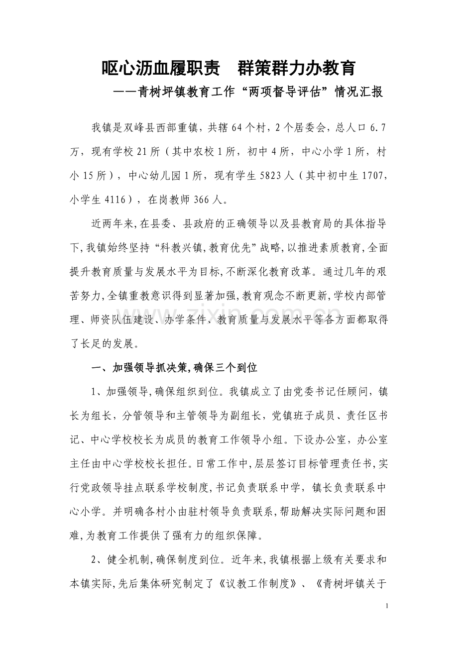 青树坪镇两项督导评估汇报材料.doc_第1页