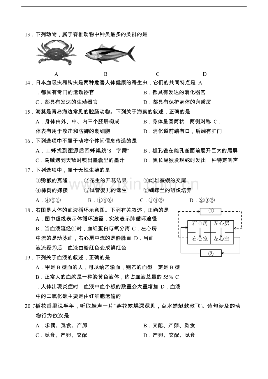 山东省青岛市2018年初中学业水平考试生物试题(word版).docx_第3页