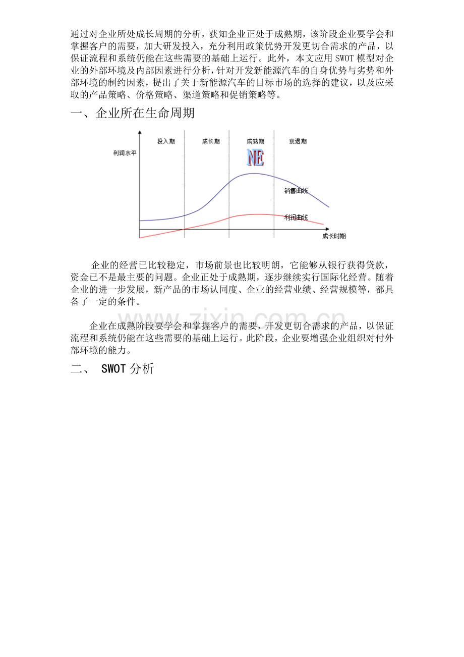 新能源汽车案例swot分析.doc_第1页