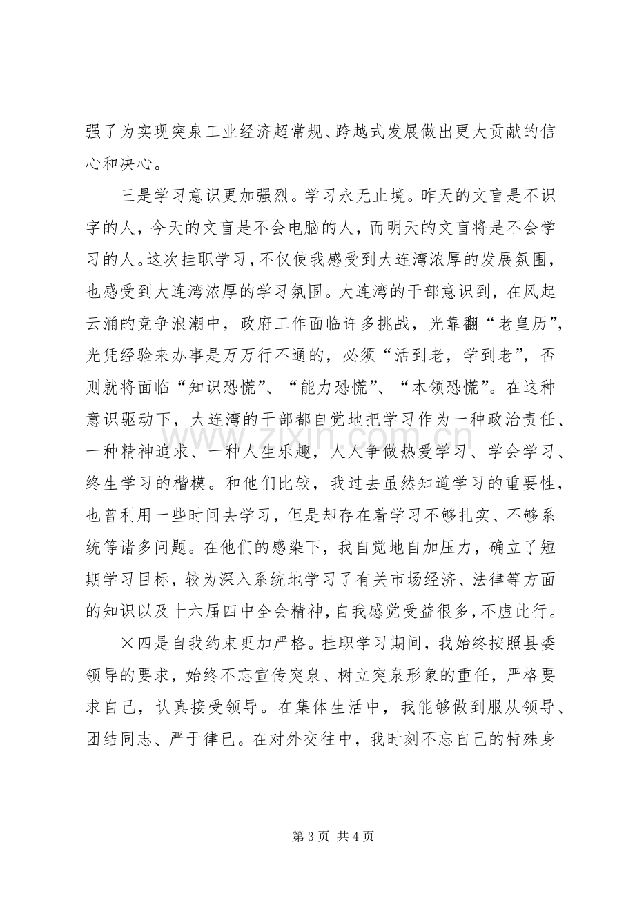 挂职锻炼个人体会小结.docx_第3页