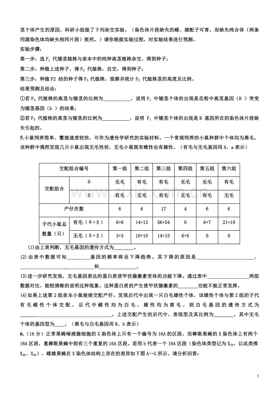 高中生物必修二遗传与变异简答题.doc_第3页