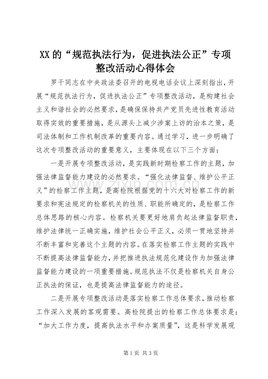 XX的“规范执法行为促进执法公正”专项整改活动体会心得.docx_第1页