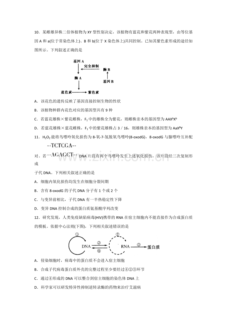 山东省德州市某中学2016届高三上学期期中考试生物试题含答案.doc_第3页