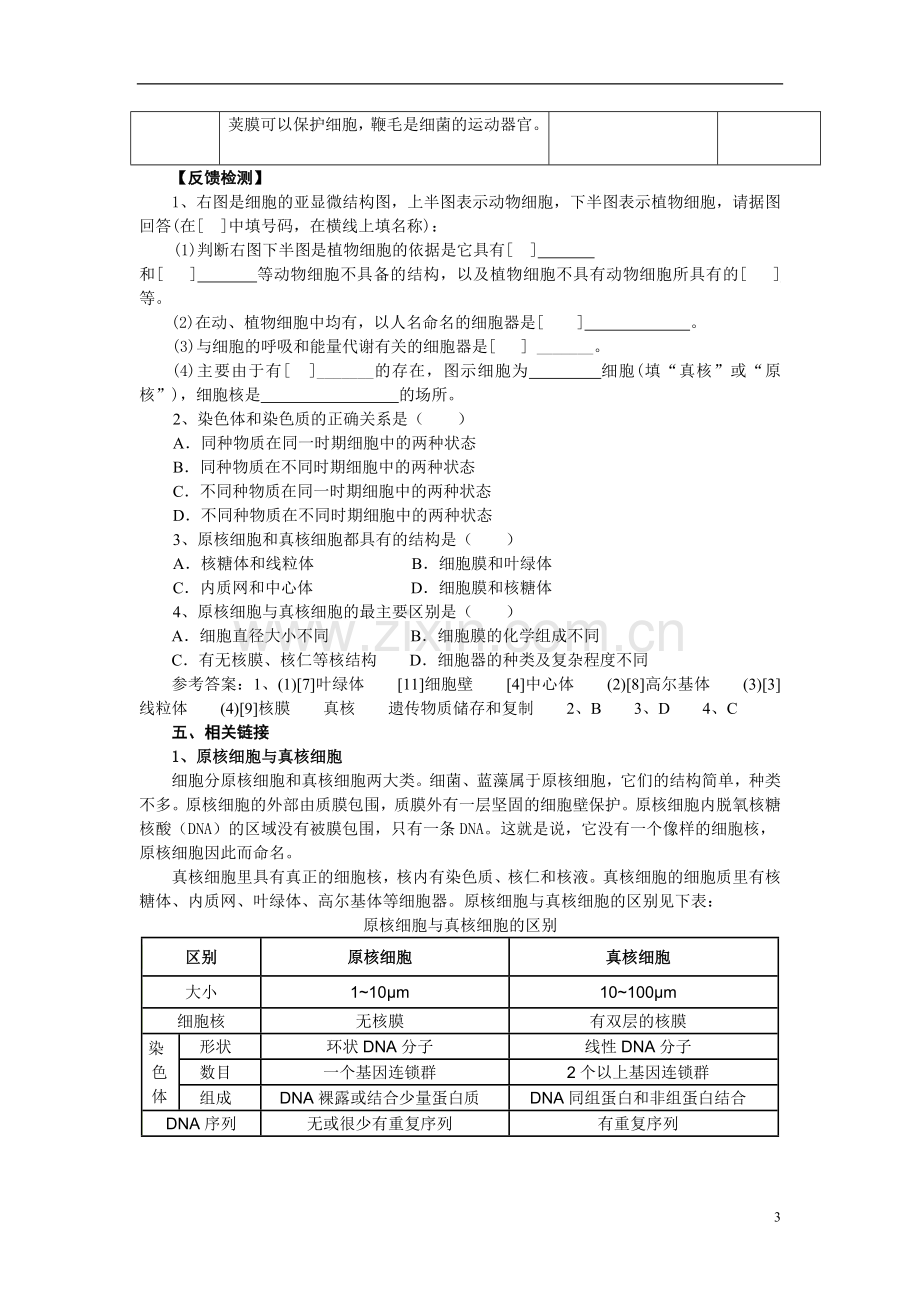 高中生物《原核细胞》教案5-浙教版必修1.doc_第3页