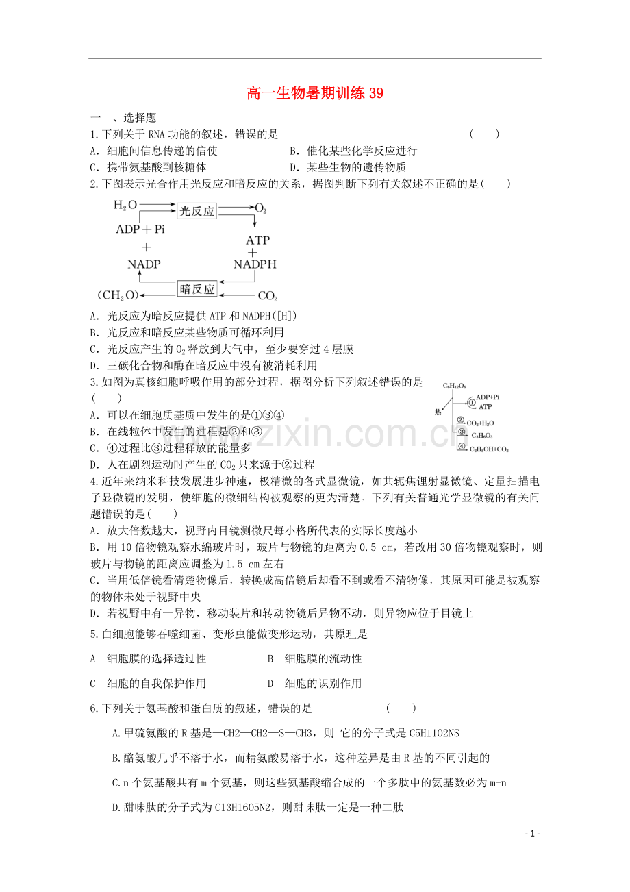 高一生物暑期训练39.doc_第1页