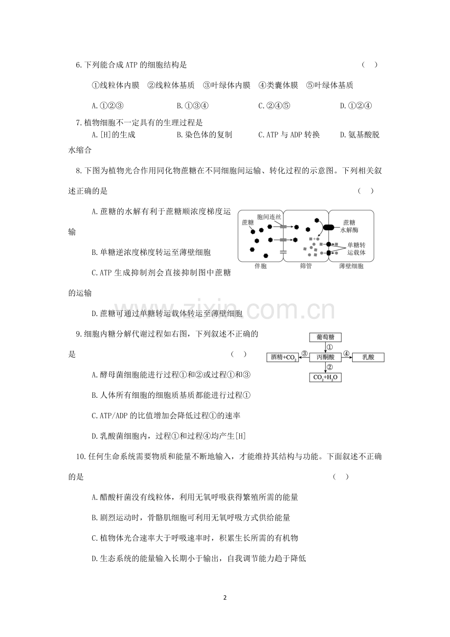 北京市海淀区2017—2018年高三上学期期中考试生物试卷有答案.doc_第2页