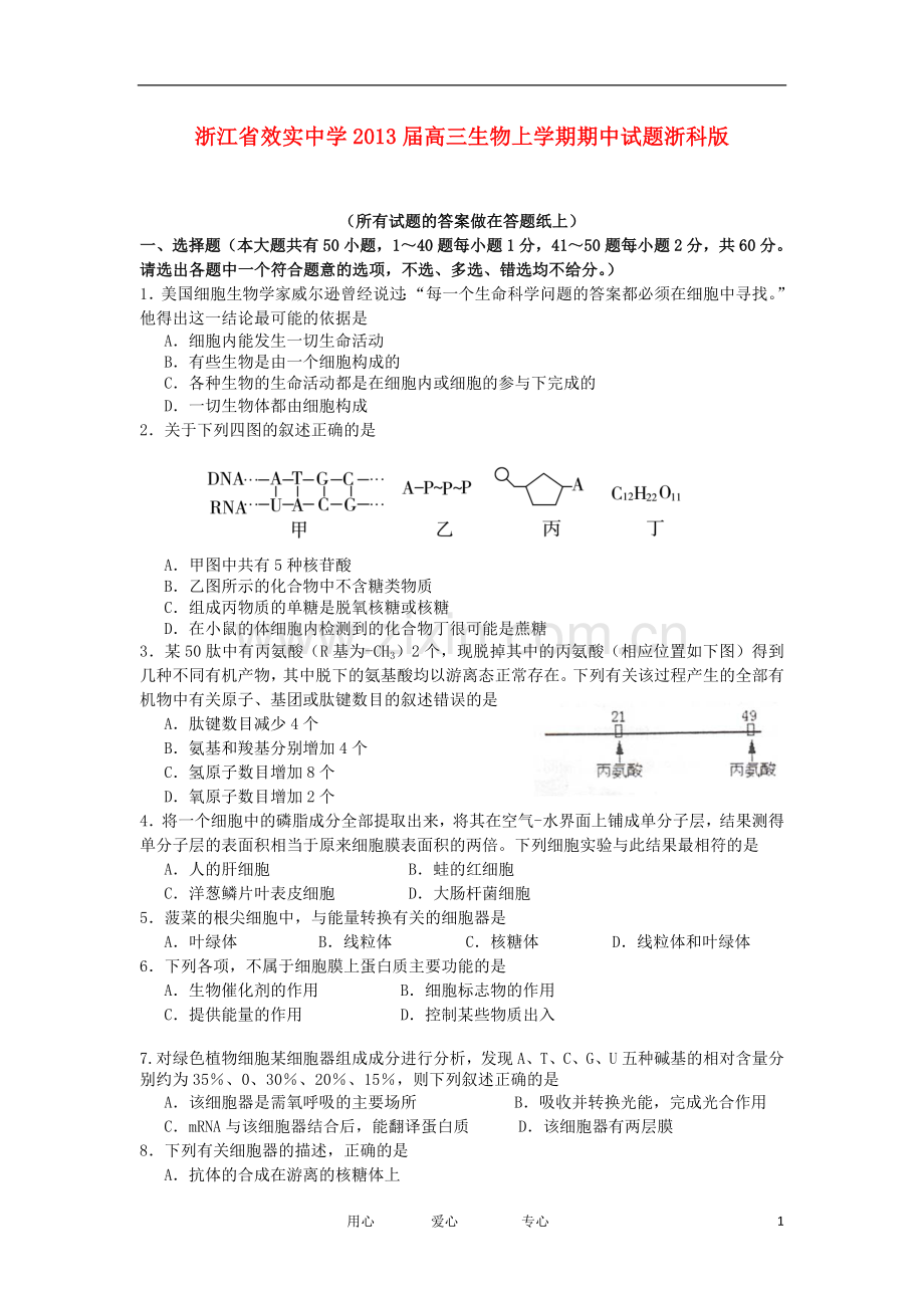 浙江省宁波市高三生物上学期期中试题浙科版.doc_第1页