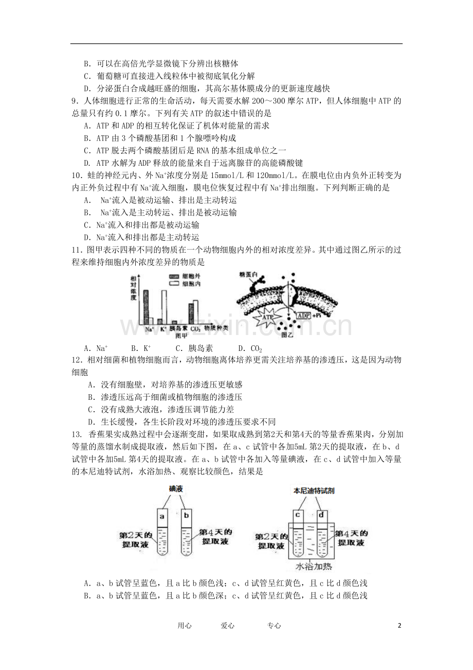 浙江省宁波市高三生物上学期期中试题浙科版.doc_第2页