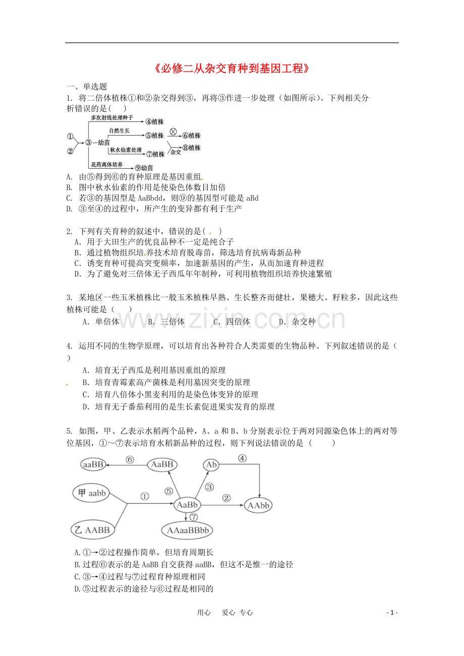 广宁一中高三生物二轮复习-《从杂交育种到基因工程》单元测试.doc_第1页