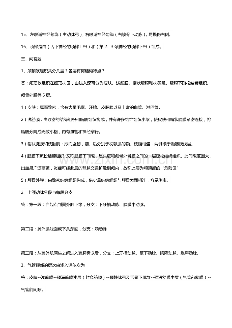 局部解剖学考试重点总结超级完整.docx_第3页