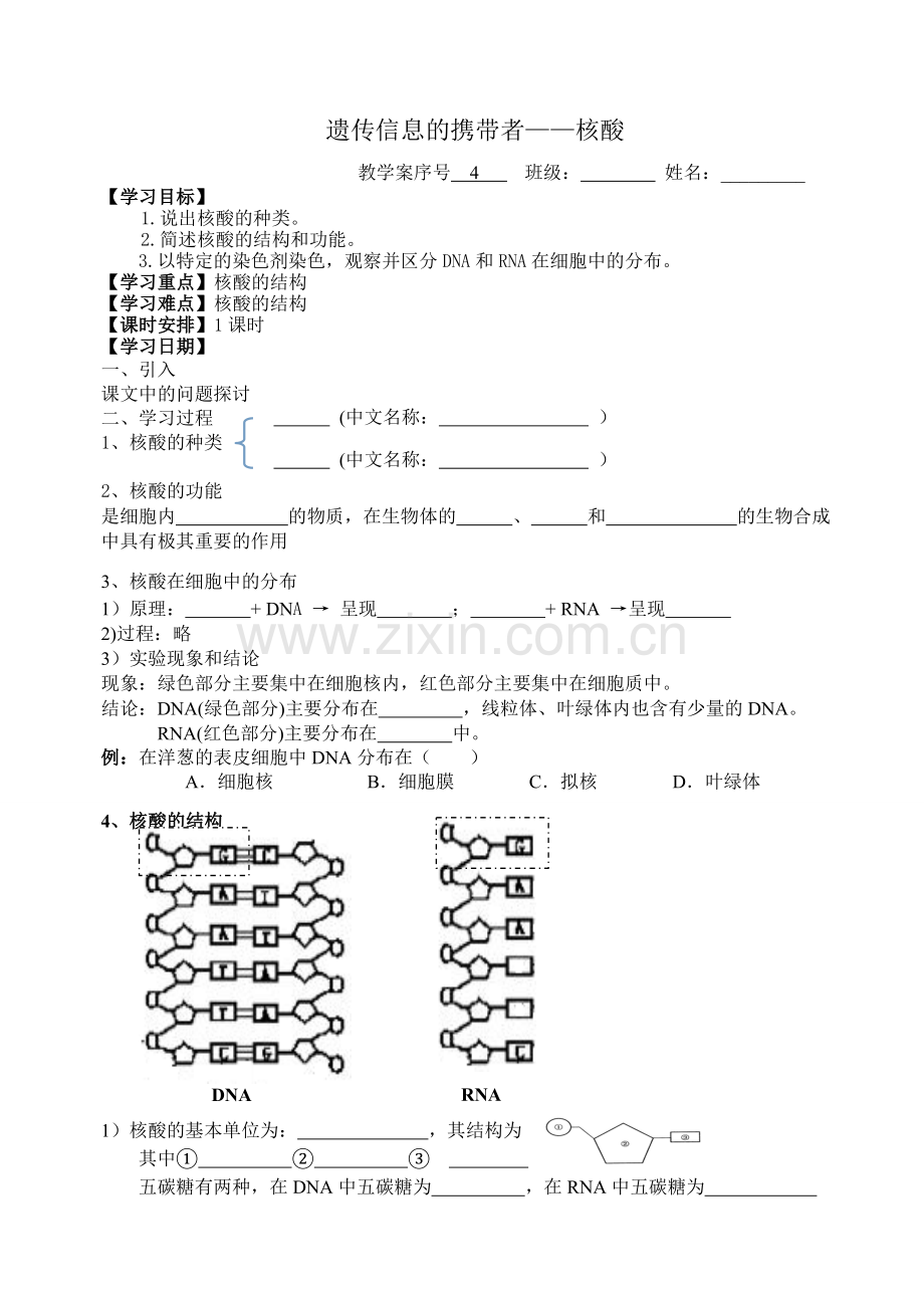 遗传信息的携带者.doc_第1页