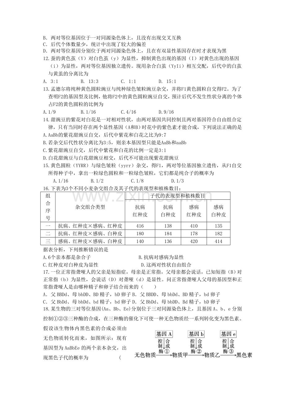 高一生物遗传规律练习题(含答案).doc_第2页