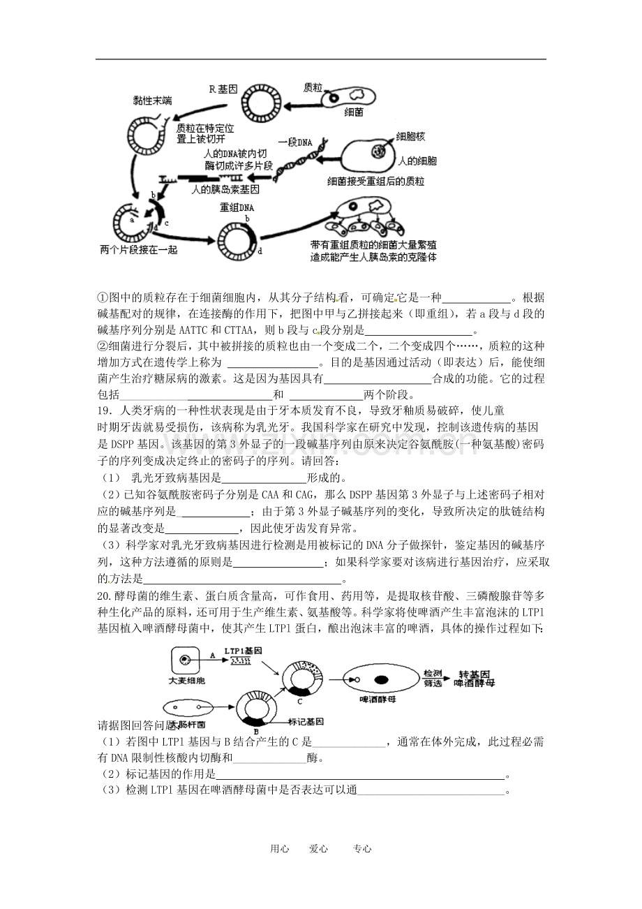 高中生物：-12-基因工程的基本操作程序(同步测试题)人教版选修3.doc_第3页