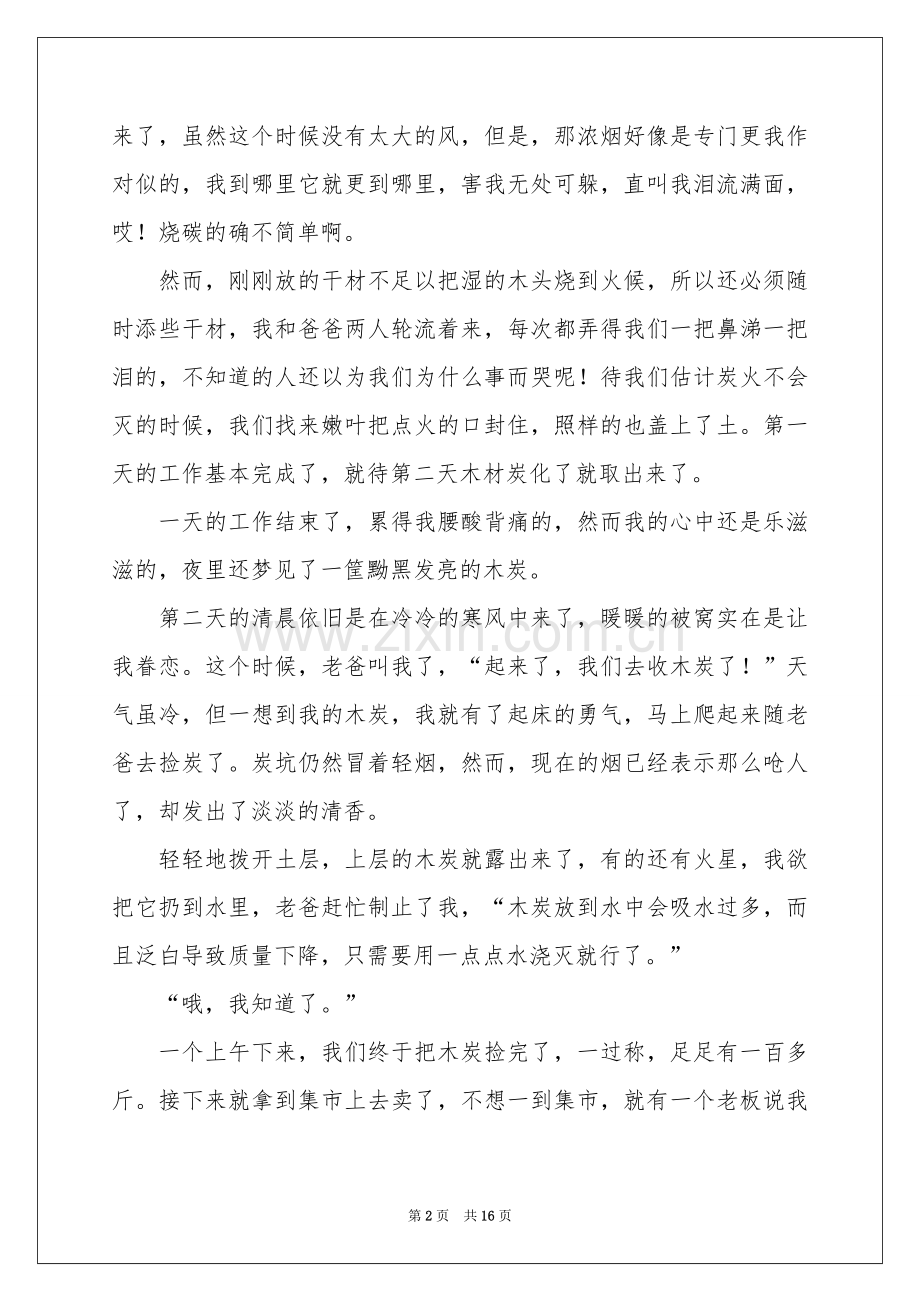 高中学生假期实践报告.docx_第2页