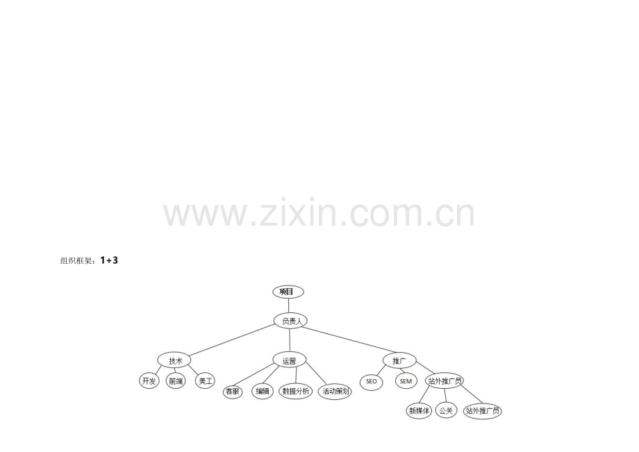 网络部运营组织架构及绩效考核标准.docx_第2页