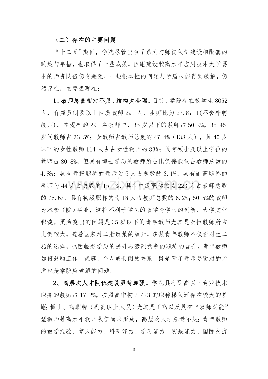 某大学十三五”师资队伍建设规划.doc_第3页