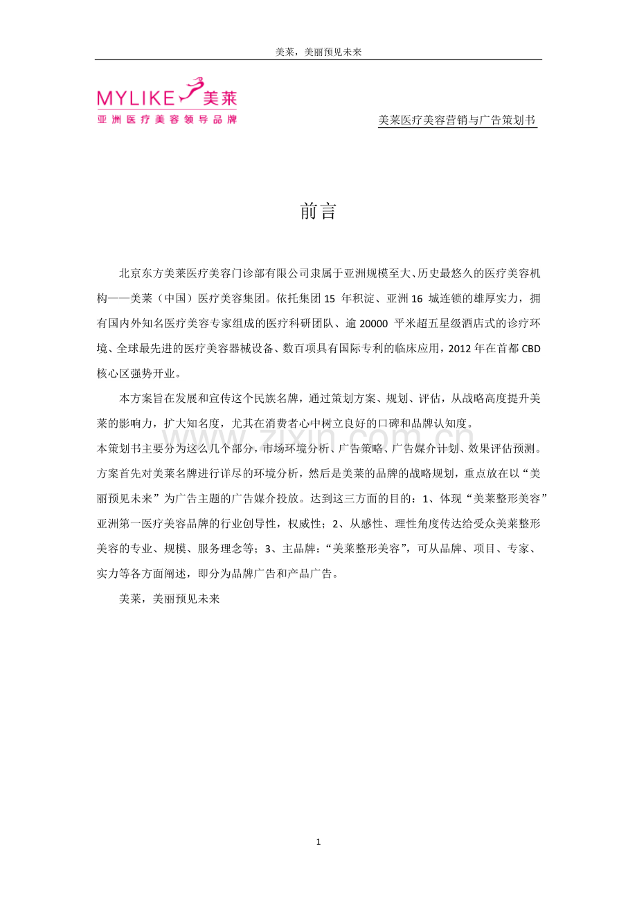 美莱医疗美容营销与广告策划书.docx_第2页