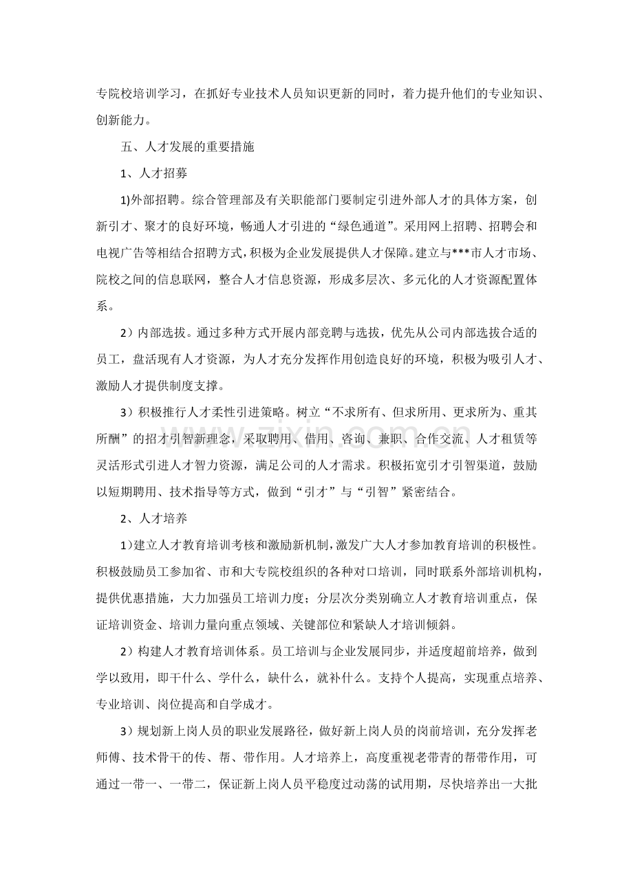 中长期人才发展规划.docx_第3页