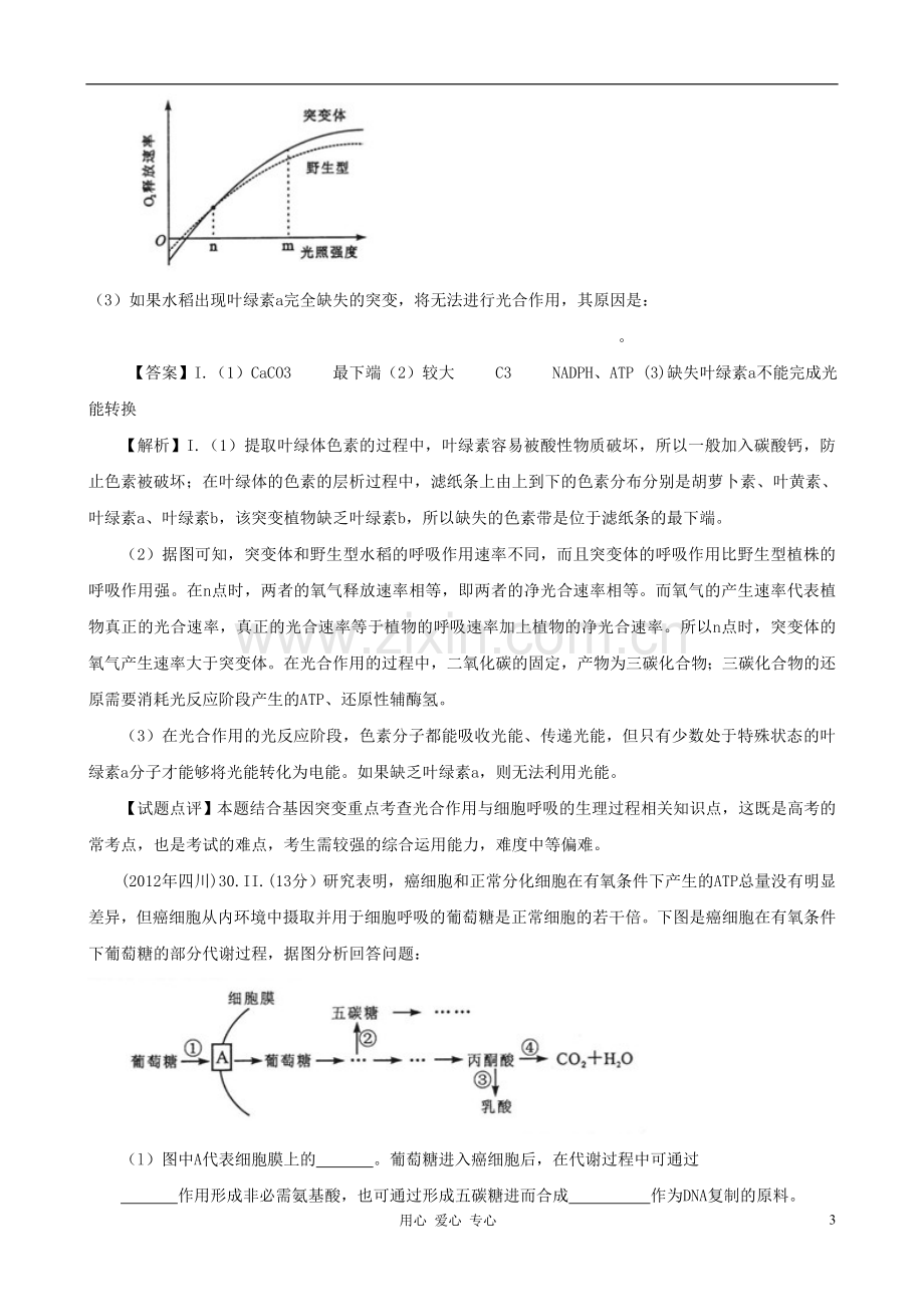 【07-12】6年高考生物真题按知识点分类汇编-细胞呼吸.doc_第3页