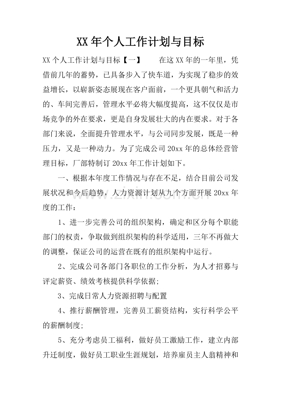 XX年个人工作计划与目标.docx_第1页