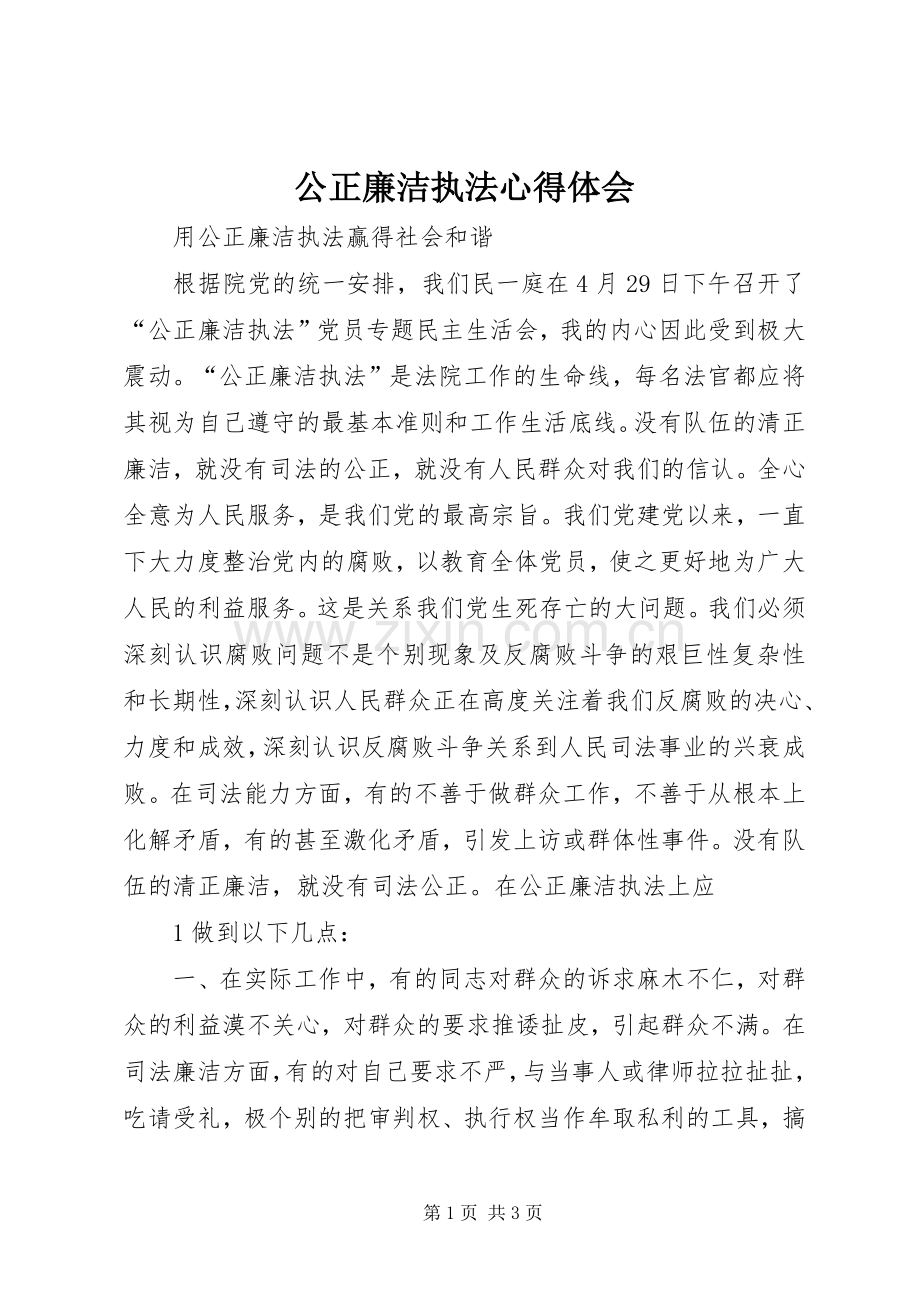 公正廉洁执法体会心得.docx_第1页