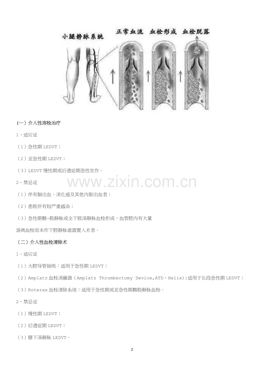 下肢深静脉血栓形成介入治疗规范.doc_第2页