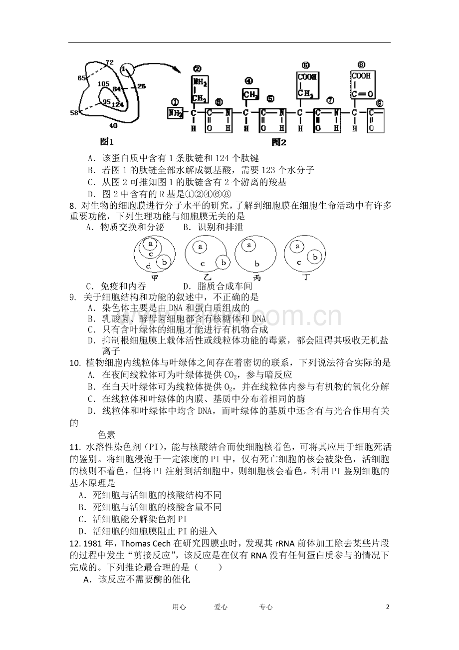 吉林省榆树市第一高级中学2011届高三生物第一次模拟考试试题.doc_第2页