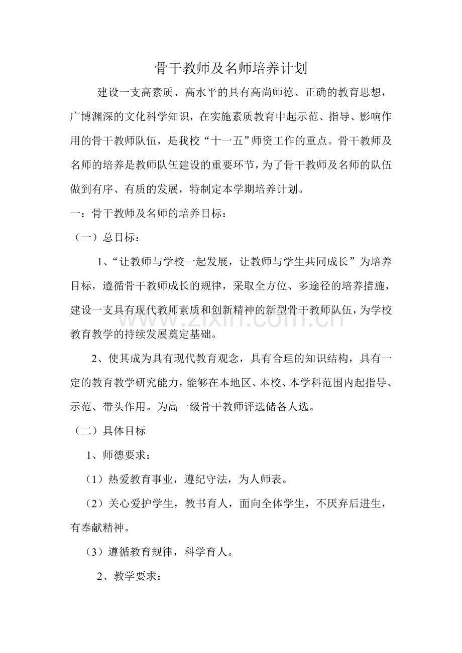 名师骨干教师培养计划.doc_第1页