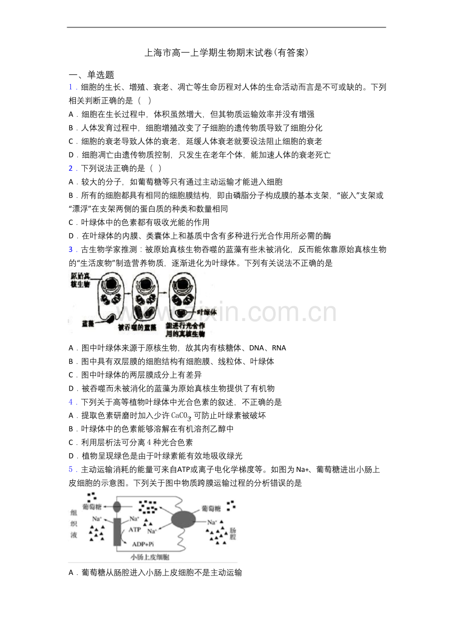 上海市高一上学期生物期末试卷(有答案).docx_第1页