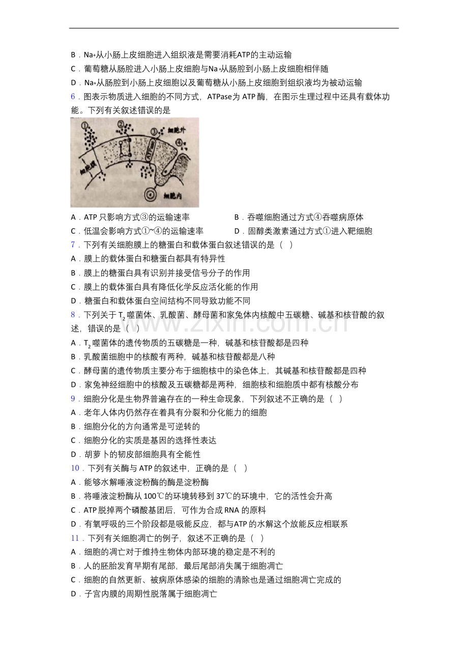 上海市高一上学期生物期末试卷(有答案).docx_第2页